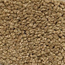 Ковролин Girloon Body1 881  | FLOORDEALER