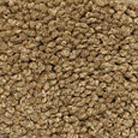 Ковролин Girloon Body1 881 фото 1 | FLOORDEALER