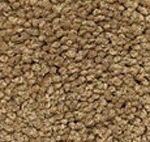 Ковролин Girloon Body1 881 фото 1 | FLOORDEALER