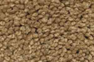 Ковролин Girloon Body1 881 фото  | FLOORDEALER