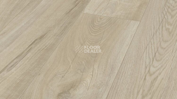 Ламинат My Floor Residence 10мм ML1030 Дуб Резиденц бежевый фото 1 | FLOORDEALER