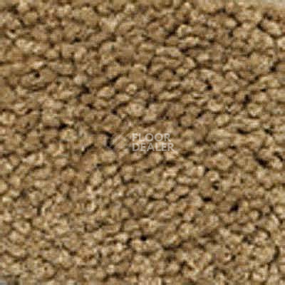 Ковролин Girloon Body1 881 фото 1 | FLOORDEALER