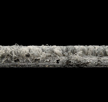 AW Maxima 94 фото 6 | FLOORDEALER