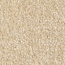 Ковролин AW Bellisima 30 фото 1 | FLOORDEALER