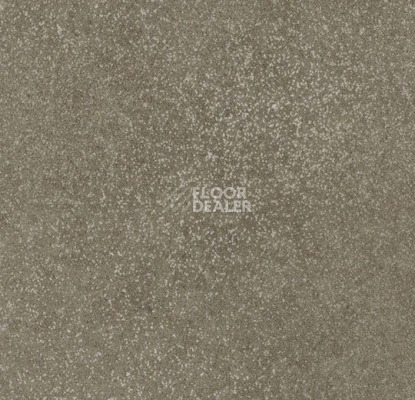 Линолеум Forbo SureStep Stone 17342 loam speckled фото 1 | FLOORDEALER