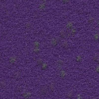 Ковролин Finett Vision Focus 755561 фото 1 | FLOORDEALER