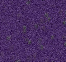 Ковролин Finett Vision Focus 755561 фото 1 | FLOORDEALER