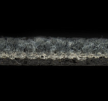 Balsan Trust 990 фото 4 | FLOORDEALER