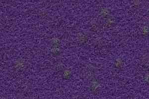 Ковролин Finett Vision Focus 755561 фото  | FLOORDEALER