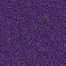 Finett Vision Focus 755561 фото 1 | FLOORDEALER