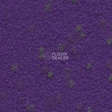 Ковролин Finett Vision Focus 755561 фото 1 | FLOORDEALER