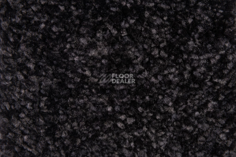 Balsan Sweet Dreams 995 фото 2 | FLOORDEALER