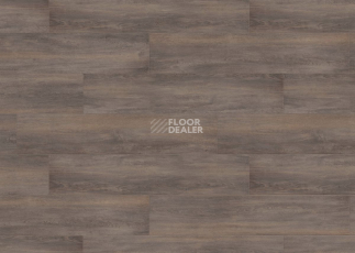 Terhurne Trend Line 243мм 1972 Дуб Дымчато - Серый 1101021711 фото 2 | FLOORDEALER