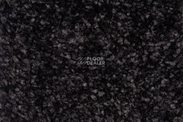 Balsan Sweet Dreams 995 фото 2 | FLOORDEALER