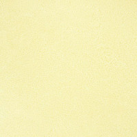 Линолеум Novoflor Extra Sparkle 2440-1 фото 1 | FLOORDEALER