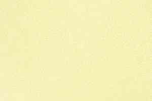 Линолеум Novoflor Extra Sparkle 2440-1 фото  | FLOORDEALER