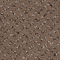 Ковролин Desso Trapez-Brlm 2943 фото 1 | FLOORDEALER