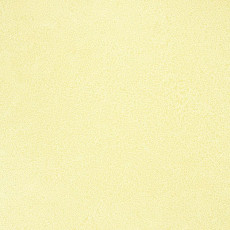 Линолеум Novoflor Extra Sparkle 2440-1 фото 1 | FLOORDEALER