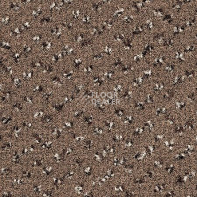 Ковролин Desso Trapez-Brlm 2943 фото 1 | FLOORDEALER