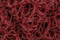 Forbo Coral Grip Hd 6123 / 6143 Wine фото 2 | FLOORDEALER