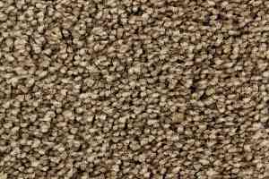 Ковролин Edel Wild Romance 117 фото  | FLOORDEALER