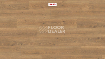 Haro Tritty 200 Aqua 4V Дуб Флавия Натур 544766 фото 2 | FLOORDEALER