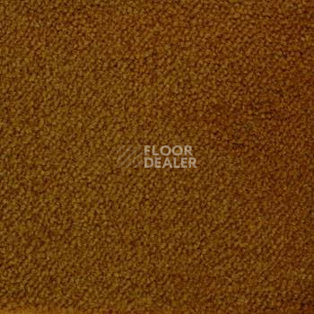 Ковролин Associated Weavers Continental 85 фото 1 | FLOORDEALER
