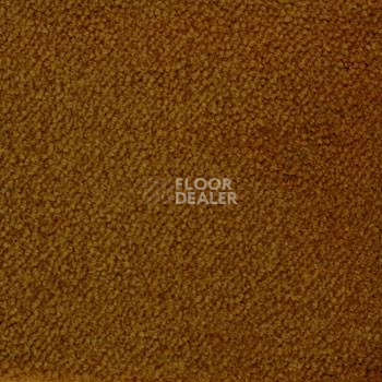 Ковролин Associated Weavers Continental 85 фото 1 | FLOORDEALER