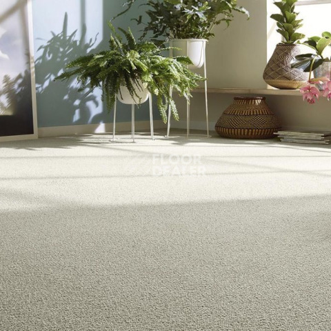 Vorwerk Essential 1008 Vorwerk 5v78 фото 2 | FLOORDEALER