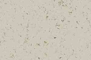 Кварцвиниловые полы Forbo Allura Colour C68019 фото  | FLOORDEALER