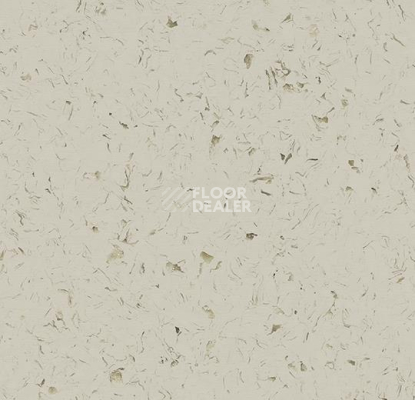 Кварцвиниловые полы Forbo Allura Colour C68019 фото 1 | FLOORDEALER