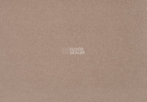 Ковролин Lano Zen 261 фото 1 | FLOORDEALER