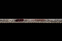 Balsan Charm 631 фото 4 | FLOORDEALER