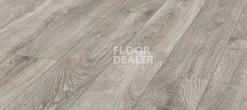 Ламинат Kronotex Mammut d4797 Дуб Горный Серебристый фото 1 | FLOORDEALER