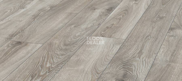 Ламинат Kronotex Mammut d4797 Дуб Горный Серебристый фото 1 | FLOORDEALER