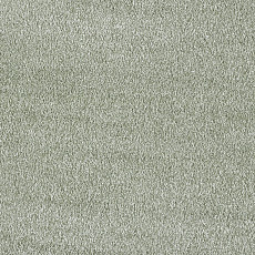 Ковролин AW Secret 25 фото 1 | FLOORDEALER