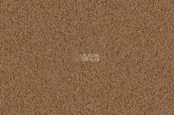 Ковролин Vorwerk Viola 7a53 фото 1 | FLOORDEALER