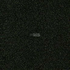 Desso Torso-Brlm 9061 фото 1 | FLOORDEALER