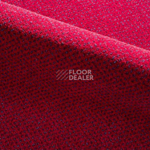 Ковролин Radici Verona 2401 фото 1 | FLOORDEALER