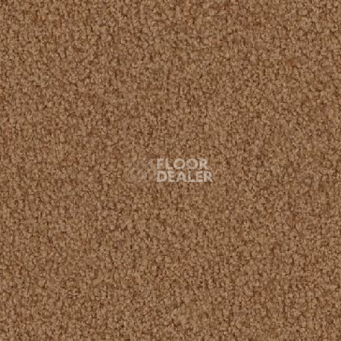 Ковролин Vorwerk Viola 7a53 фото 1 | FLOORDEALER