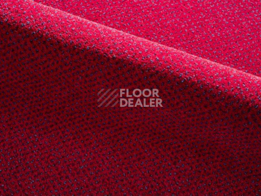 Ковролин Radici Verona 2401 фото 1 | FLOORDEALER