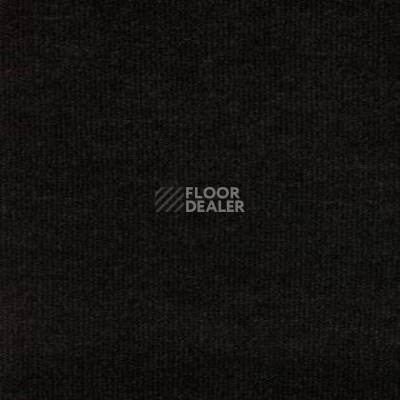 Ковролин Tapibel Secura 48107 фото 1 | FLOORDEALER