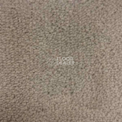 Ковролин Betap Nago 629 фото 1 | FLOORDEALER