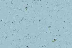 Кварцвиниловые полы Forbo Allura Colour C68023 фото  | FLOORDEALER