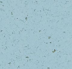 Forbo Allura Colour C68023 фото 1 | FLOORDEALER