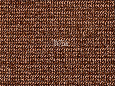 Ковролин e-check 54 фото 1 | FLOORDEALER