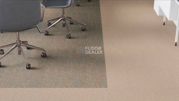 Desso Essence Pure ad 07 1510 фото 2 | FLOORDEALER