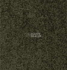 Ковролин Betap Transmit 650 фото 1 | FLOORDEALER