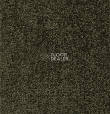 Ковролин Betap Transmit 650 фото 1 | FLOORDEALER