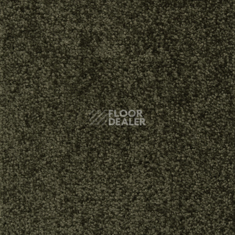 Ковролин Betap Transmit 650 фото 1 | FLOORDEALER